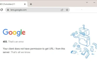 Fixing Google Chrome Error 403 Three Methods to Solve the Problem