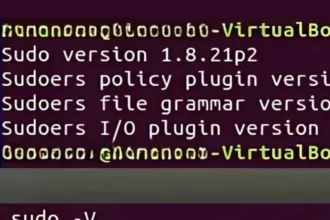 What Is Sudo Command in Linux? How to Use It + Examples 2025