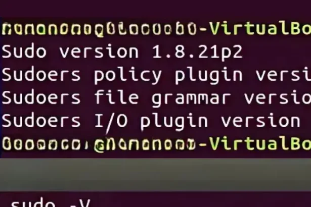 What Is Sudo Command in Linux? How to Use It + Examples 2025